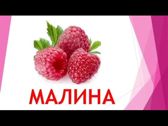 МАЛИНА