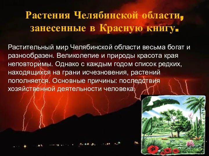 Растения Челябинской области, занесенные в Красную книгу. Растительный мир Челябинской области весьма