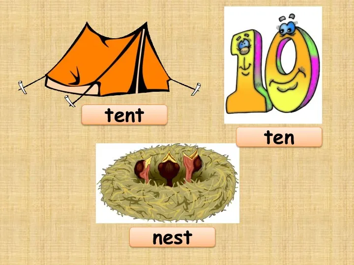 tent nest ten