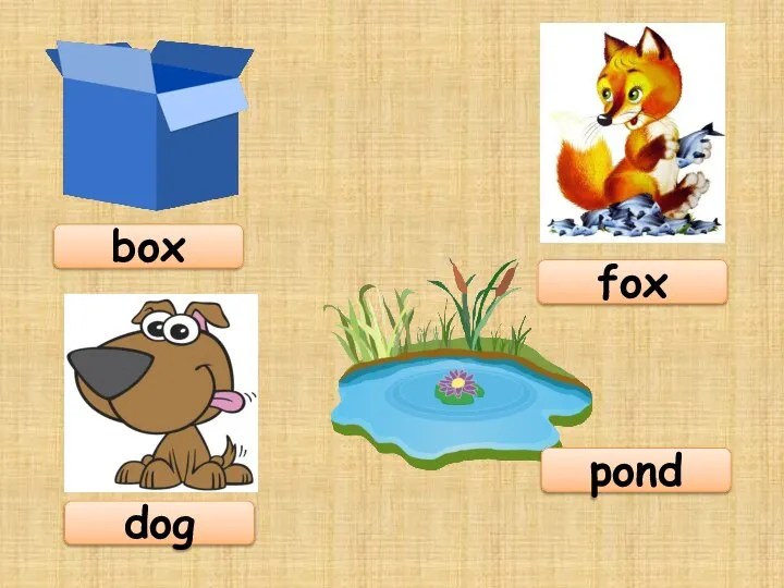 box fox dog pond