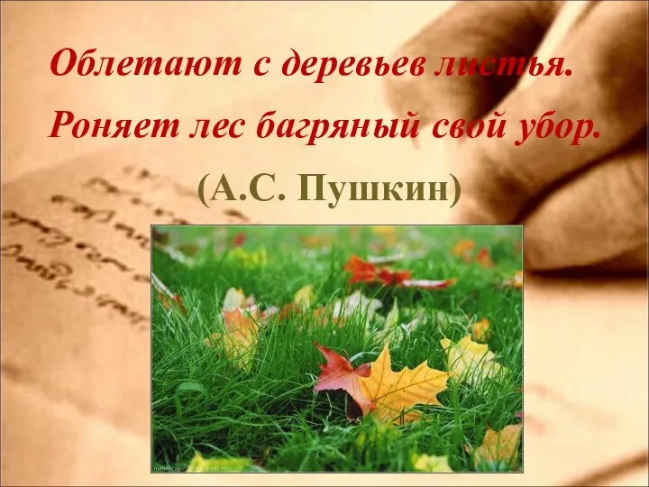 Облетают с деревьев листья. Роняет лес багряный свой убор. (А.С. Пушкин)