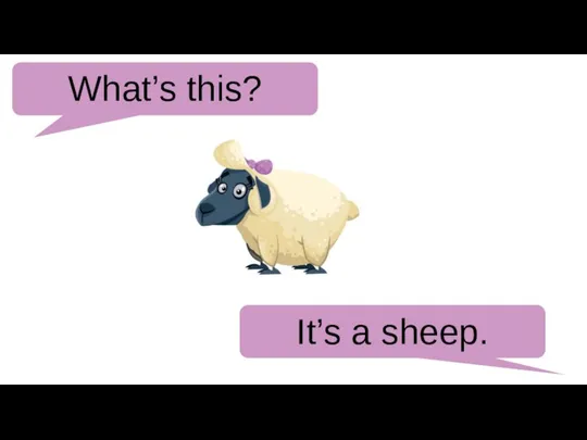 What’s this? It’s a sheep.