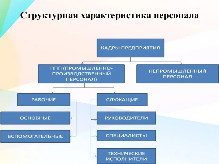 Структурная характеристика персонала