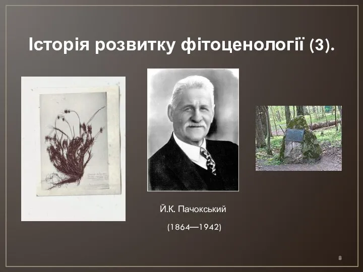 Історія розвитку фітоценології (3). Й.К. Пачокський (1864—1942)