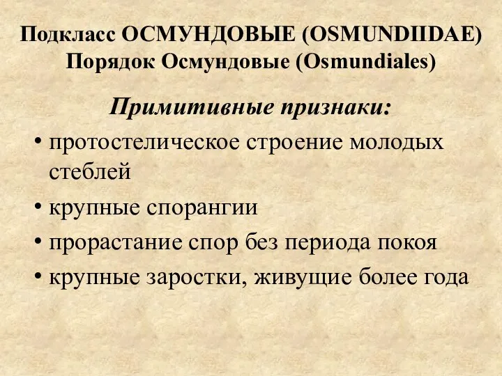 Подкласс ОСМУНДОВЫЕ (OSMUNDIIDAE) Порядок Осмундовые (Osmundiales) Примитивные признаки: протостелическое строение молодых стеблей