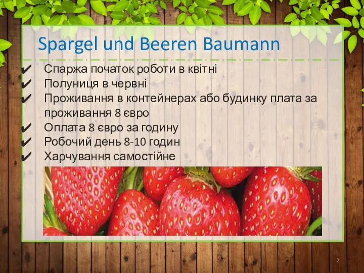 Spargel und Beeren Baumann Спаржа початок роботи в квітні Полуниця в червні