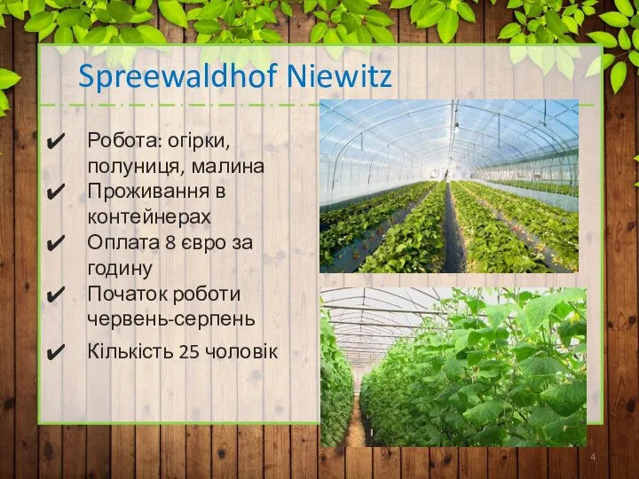 Spreewaldhof Niewitz Робота: огірки, полуниця, малина Проживання в контейнерах Оплата 8 євро