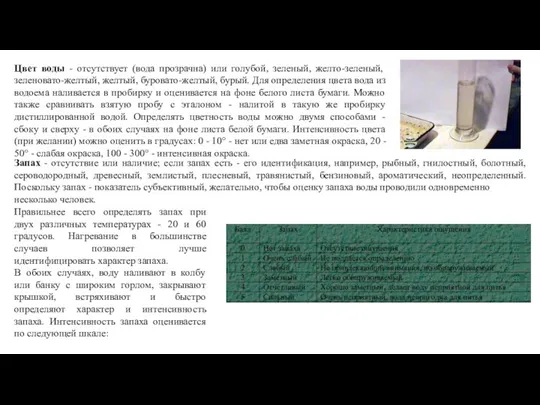 Цвет воды - отсутствует (вода прозрачна) или голубой, зеленый, желто-зеленый, зеленовато-желтый, желтый,