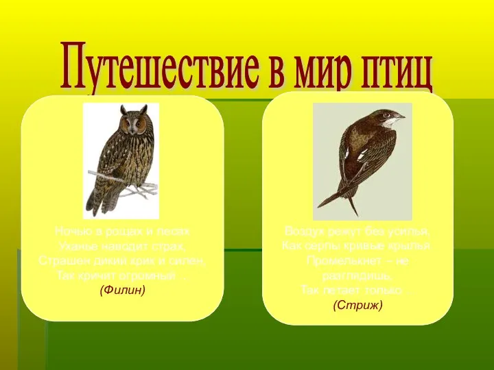 Путешествие в мир птиц Ночью в рощах и лесах Уханье наводит страх,