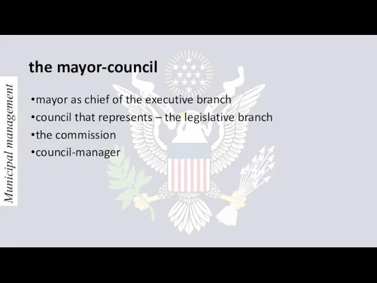 the mayor-council mayor as chief of the executive branch council that represents