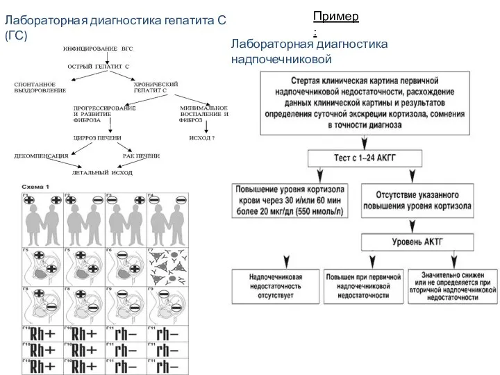 Лабораторная диагностика надпочечниковой Лабораторная диагностика гепатита С (ГС) Пример: