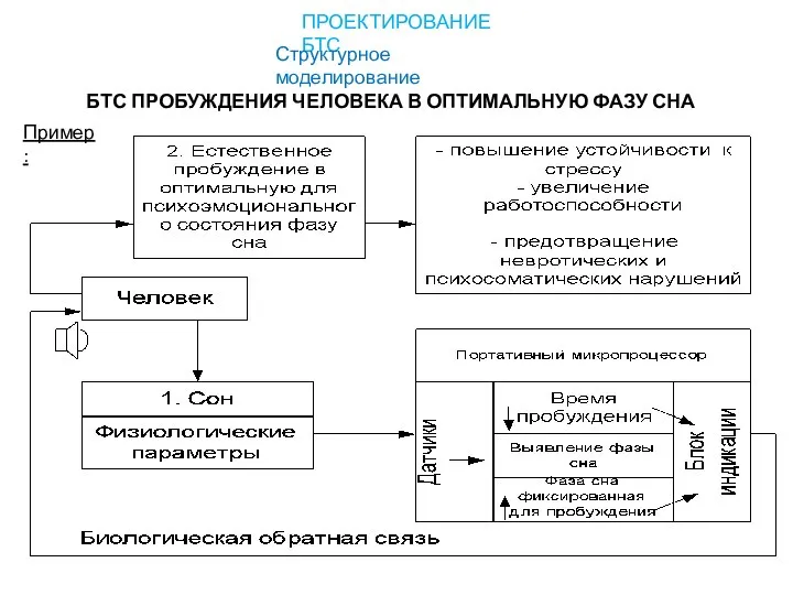 БТС ПРОБУЖДЕНИЯ ЧЕЛОВЕКА В ОПТИМАЛЬНУЮ ФАЗУ СНА ПРОЕКТИРОВАНИЕ БТС Структурное моделирование Пример: