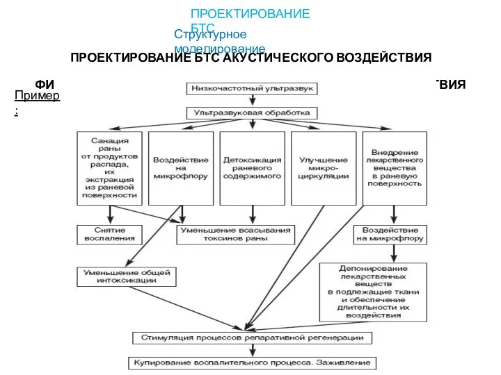 ПРОЕКТИРОВАНИЕ БТС АКУСТИЧЕСКОГО ВОЗДЕЙСТВИЯ ФИЗИОЛОГИЧЕСКИЕ МЕХАНИЗМЫ АКУСТИЧЕСКОГО ВОЗДЕЙСТВИЯ ПРОЕКТИРОВАНИЕ БТС Структурное моделирование Пример: