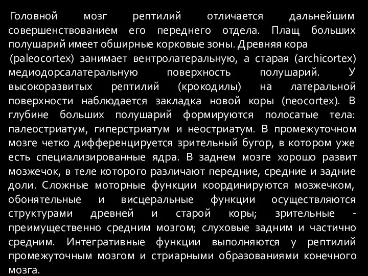 Головной мозг рептилий отличается дальнейшим совершенствованием его переднего отдела. Плащ больших полушарий