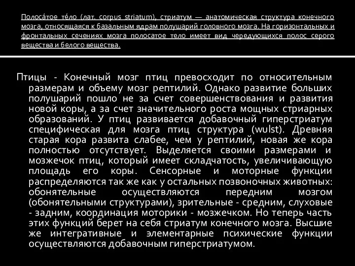 Полоса́тое те́ло (лат. corpus striatum), стриатум — анатомическая структура конечного мозга, относящаяся