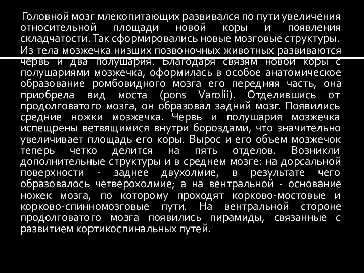 Головной мозг млекопитающих развивался по пути увеличения относительной площади новой коры и