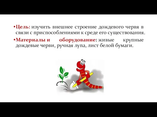 Цель: изучить внешнее строение дождевого червя в связи с приспособлениями к среде