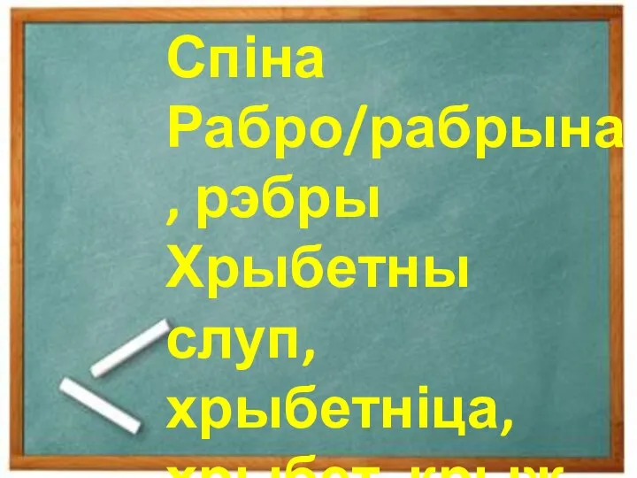 Спіна Рабро/рабрына, рэбры Хрыбетны слуп, хрыбетніца, хрыбет, крыж