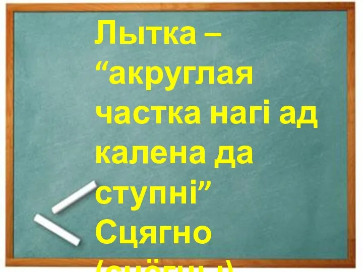 Лытка – “акруглая частка нагі ад калена да ступні” Сцягно (сцёгны)