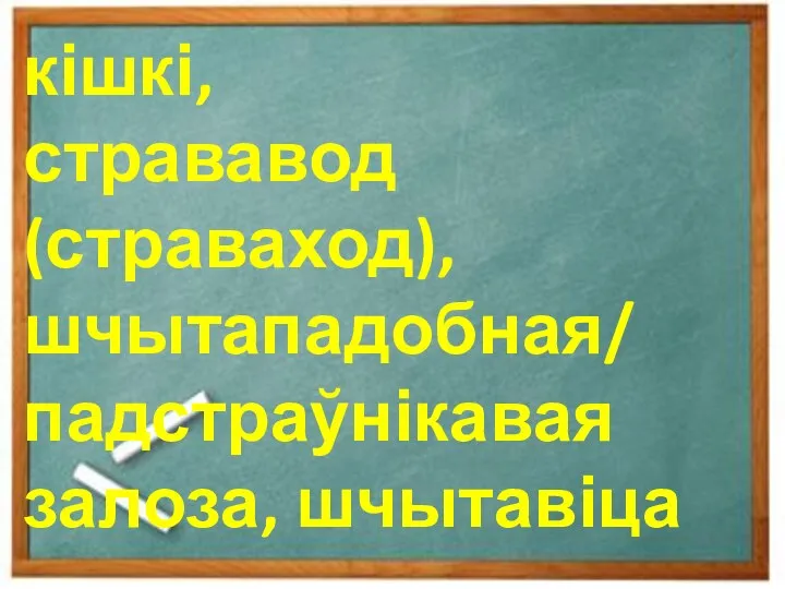 кішкі, стрававод (страваход), шчытападобная/ падстраўнікавая залоза, шчытавіца