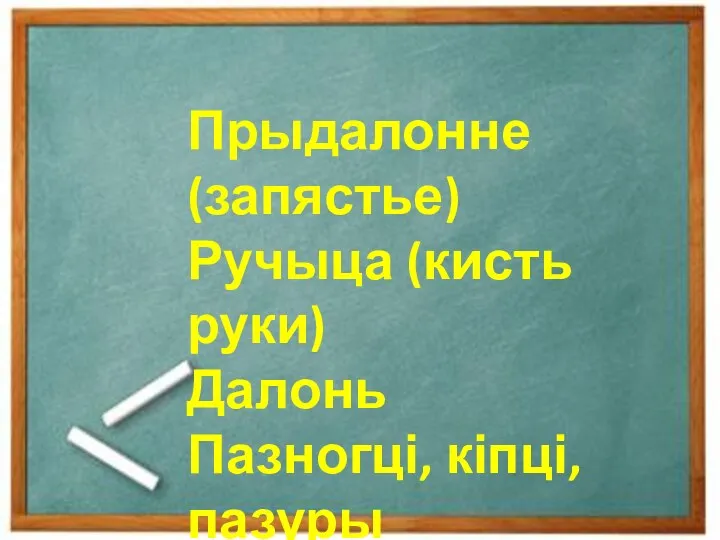 Прыдалонне Далонь Пазногці, кіпці Прыдалонне (запястье) Ручыца (кисть руки) Далонь Пазногці, кіпці, пазуры