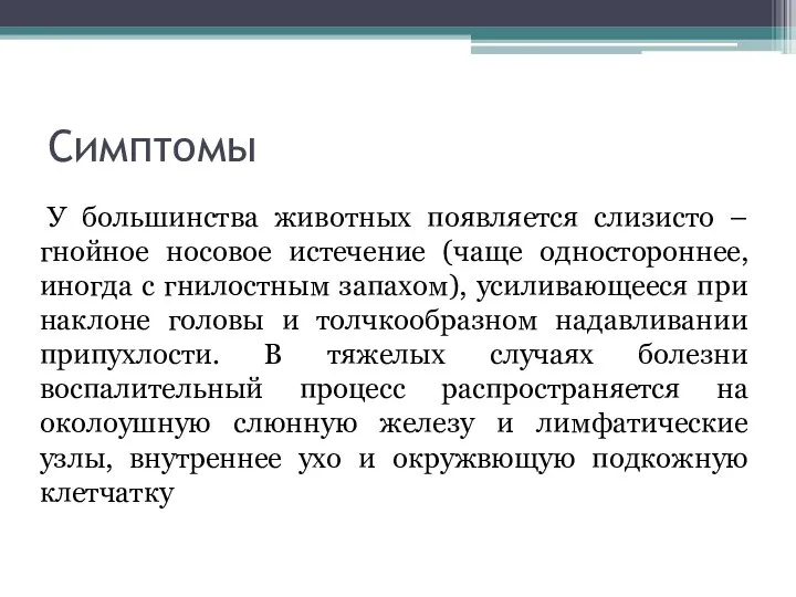 Симптомы У большинства животных появляется слизисто – гнойное носовое истечение (чаще одностороннее,