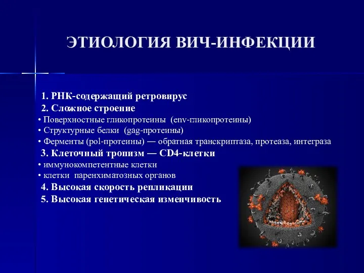 1. РНК-содержащий ретровирус 2. Сложное строение Поверхностные гликопротеины (env-глико­про­теи­ны) Структурные белки (gag-протеины)