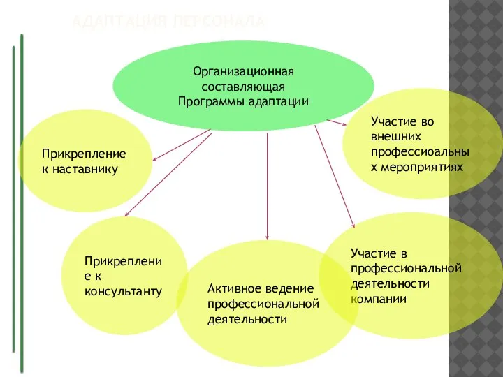 АДАПТАЦИЯ ПЕРСОНАЛА Организационная составляющая Программы адаптации Участие во внешних профессиоальных мероприятиях Участие