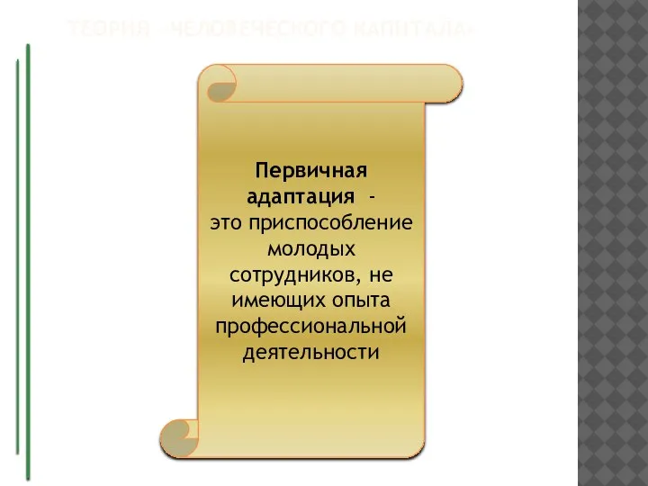 ТЕОРИЯ «ЧЕЛОВЕЧЕСКОГО КАПИТАЛА» Первичная адаптация - это приспособление молодых сотрудников, не имеющих опыта профессиональной деятельности