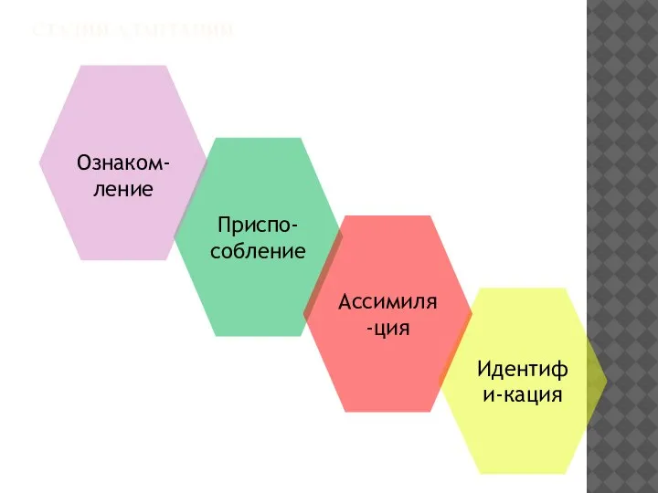 СТАДИИ АДАПТАЦИИ Приспо-собление Идентифи-кация Ознаком-ление Ассимиля-ция