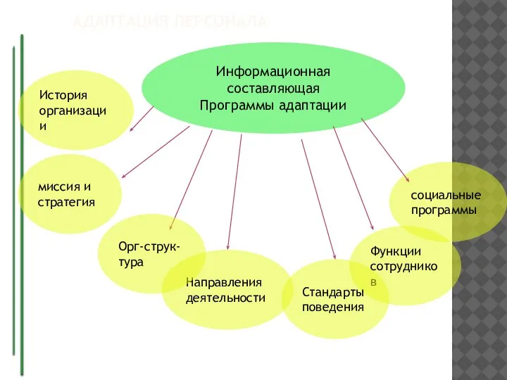 АДАПТАЦИЯ ПЕРСОНАЛА Информационная составляющая Программы адаптации социальные программы Функции сотрудников Стандарты поведения