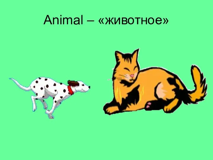 Animal – «животное»