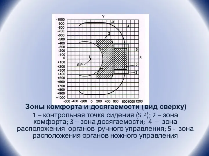 Зоны комфорта и досягаемости (вид сверху) 1 – контрольная точка сидения (SIP);