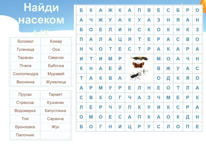 Найди насекомых