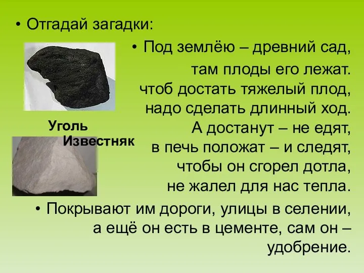 Отгадай загадки: Под землёю – древний сад, там плоды его лежат. чтоб