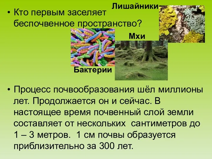 Кто первым заселяет беспочвенное пространство? Процесс почвообразования шёл миллионы лет. Продолжается он