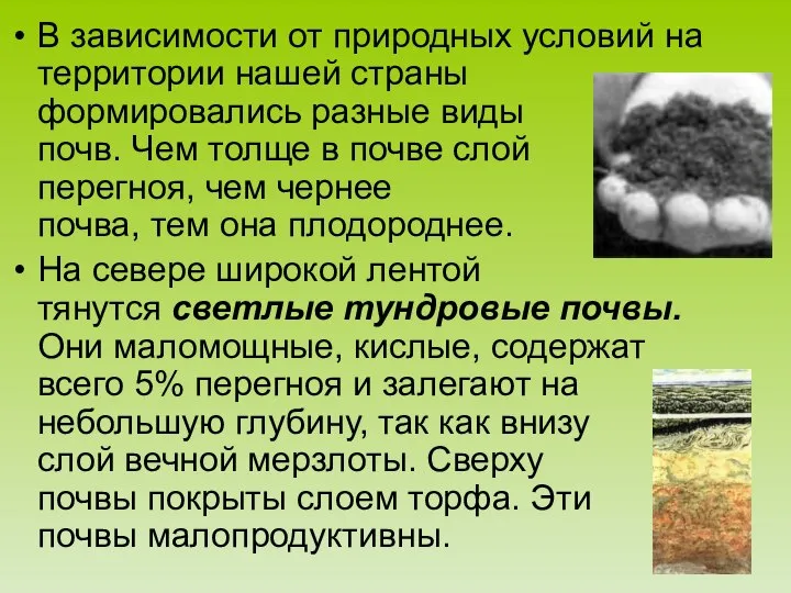 В зависимости от природных условий на территории нашей страны формировались разные виды