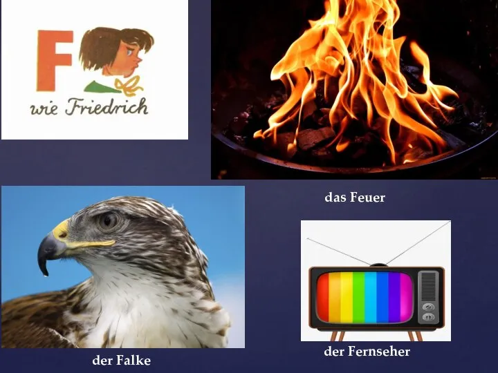 der Fernseher der Falke das Feuer