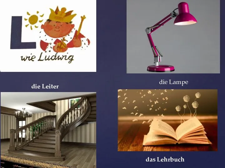 die Lampe das Lehrbuch die Leiter