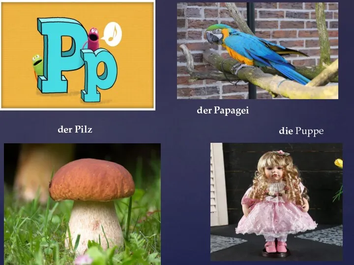 der Papagei der Pilz die Puppe