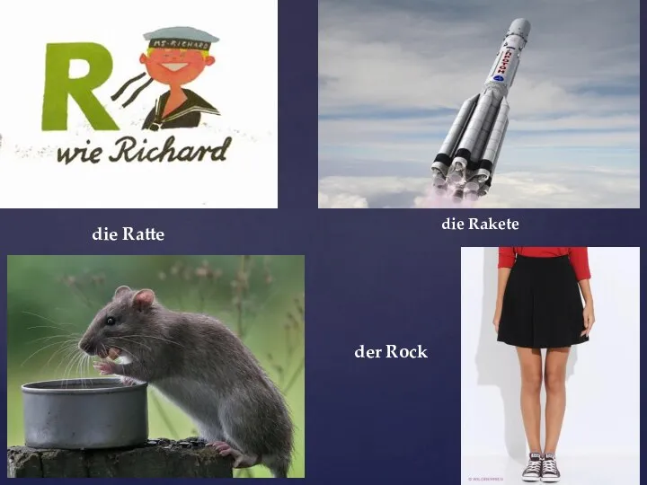 die Rakete die Ratte der Rock