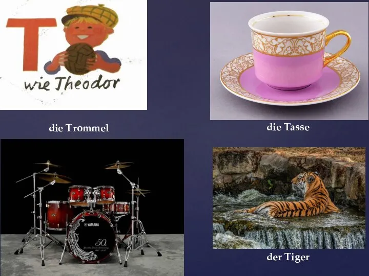 die Trommel der Tiger die Tasse