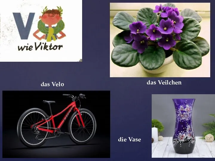 die Vase das Velo das Veilchen