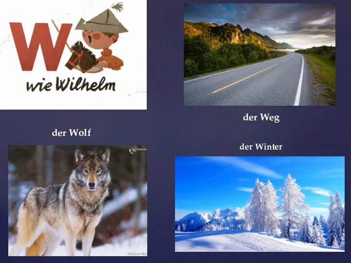 der Winter der Wolf der Weg