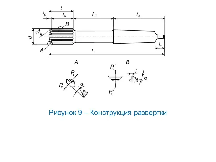 Рисунок 9 – Конструкция развертки