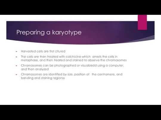 Preparing a karyotype Harvested cells are first cltured The cells are then