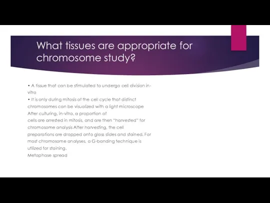 What tissues are appropriate for chromosome study? • A tissue that can