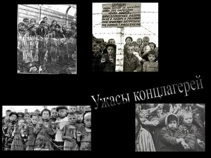 Узники фашизма в Карелии, г.Петрозаводск Узники Бухенвальда Ужасы концлагерей