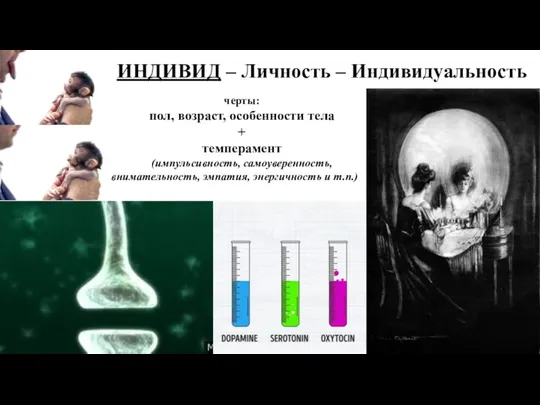 ИНДИВИД – Личность – Индивидуальность черты: пол, возраст, особенности тела + темперамент