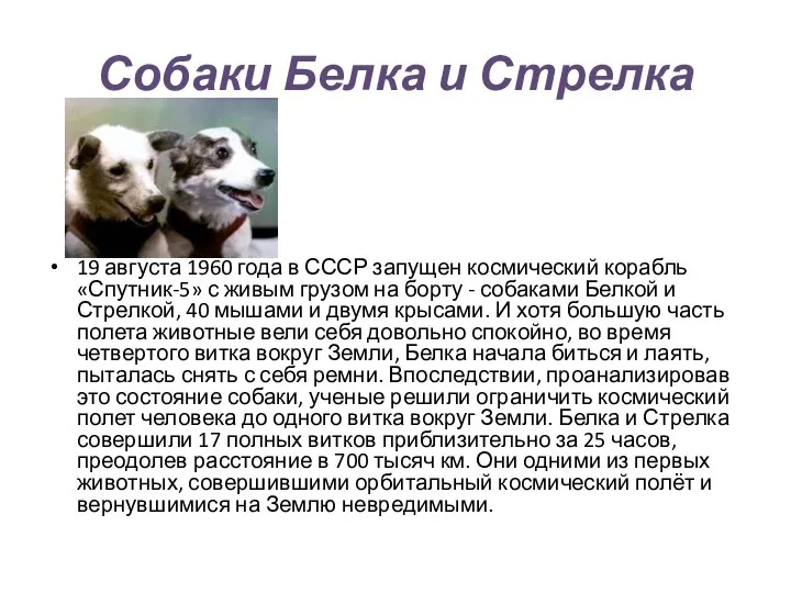 Собаки Белка и Стрелка 19 августа 1960 года в СССР запущен космический